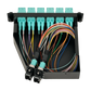 CASCOM3 OM3 12-SC 1-MPO/M Cassette 130mm Fibra Pre-Conectorizada