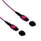 JF4MM60U UI 60mt MPO-MPO 12-Fibras Type-B OM4 Multimodo MM Jumper Fibra LSZH