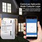 Interruptor Inteligente Relé Wifi Tuya Smart Life 10A 12V-220V